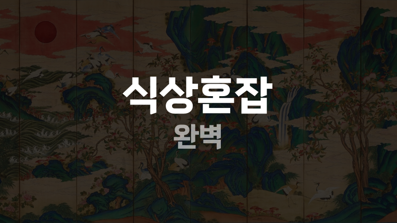 식상혼잡 완벽