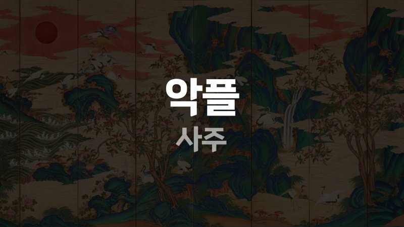 악플 사주