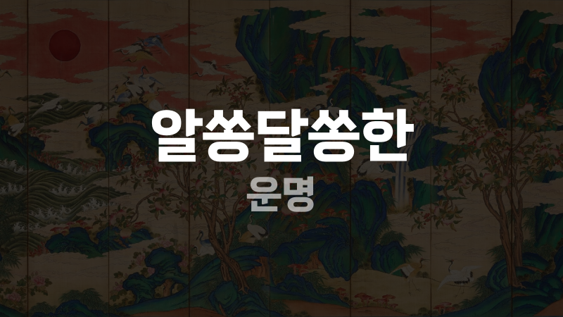 알쏭달쏭한 운명