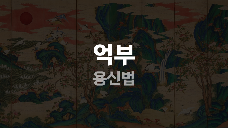 억부 용신법