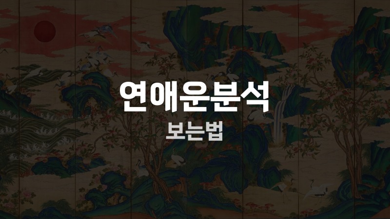 연애운분석