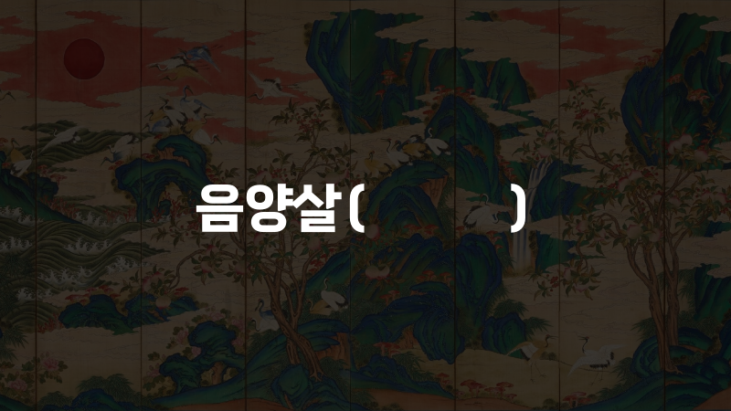음양살(陰陽煞)
