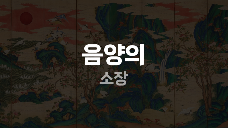음양의 소장
