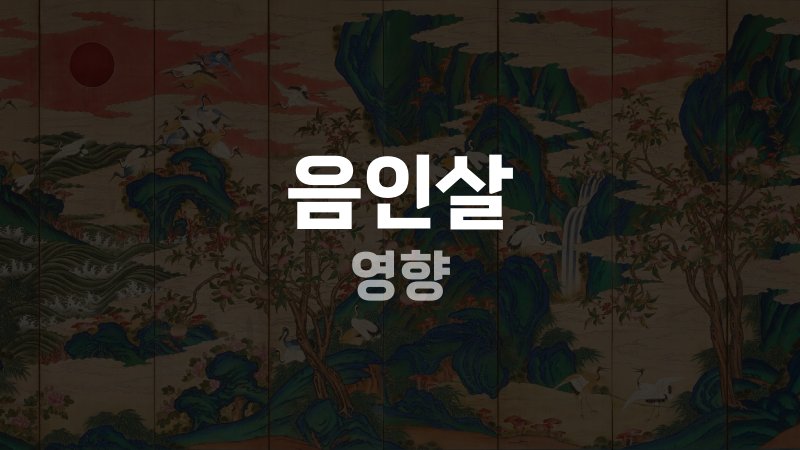 음인살 영향