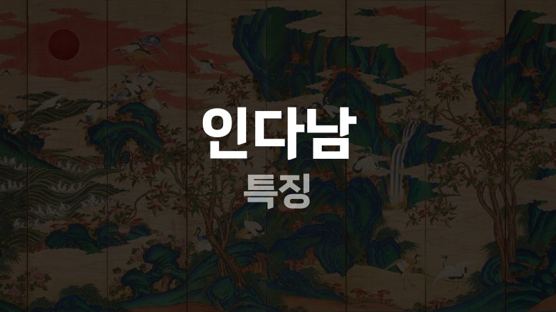 인다남 특징