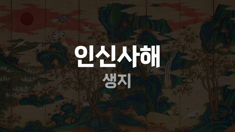 인신사해 생지
