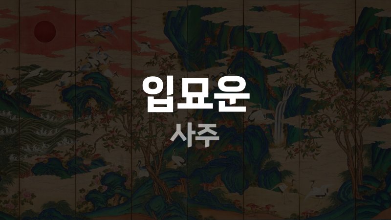 입묘운 사주