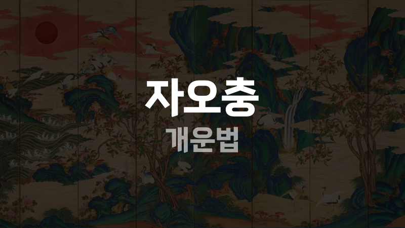 자오충 개운법