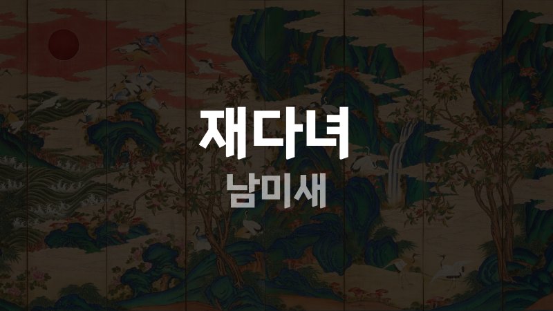 재다녀 남미새