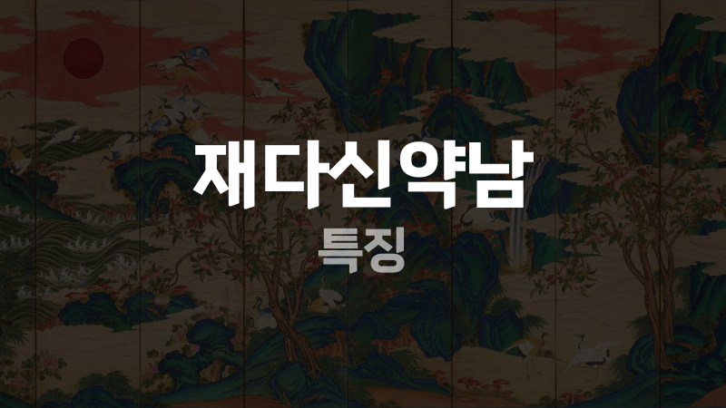 재다신약남 특징
