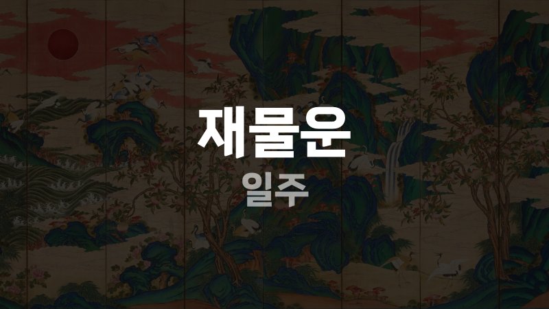 재물운 일주