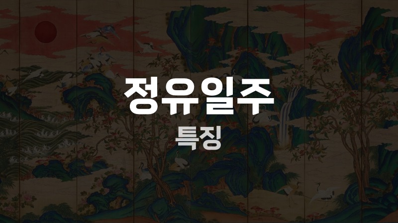 정유일주 특징