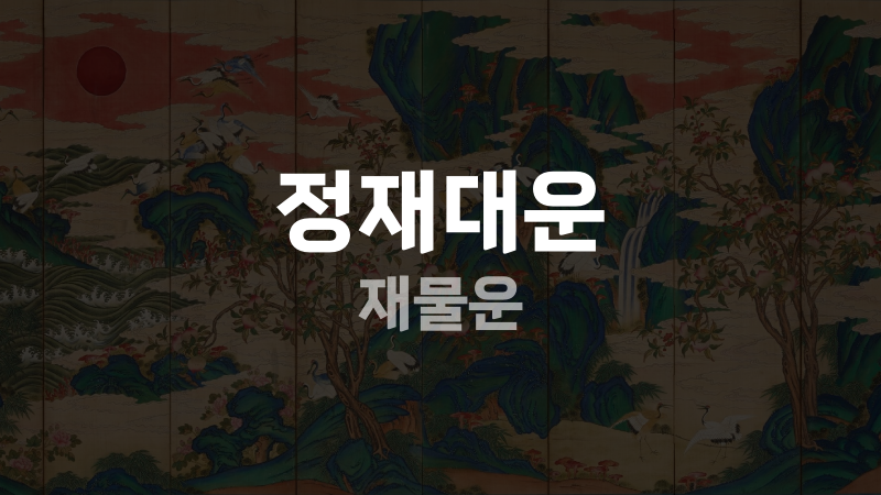 정재대운 재물운