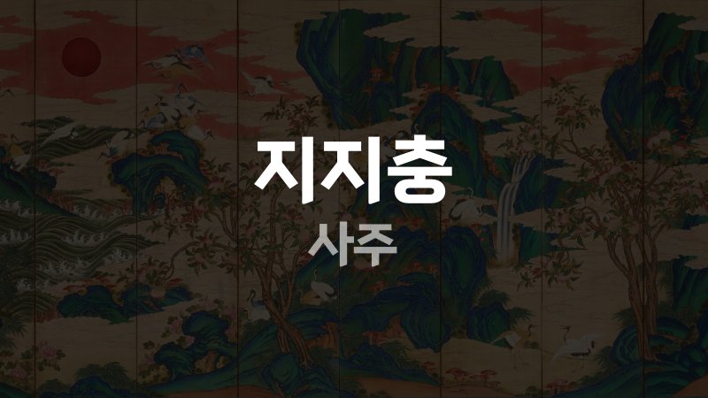 지지충 사주