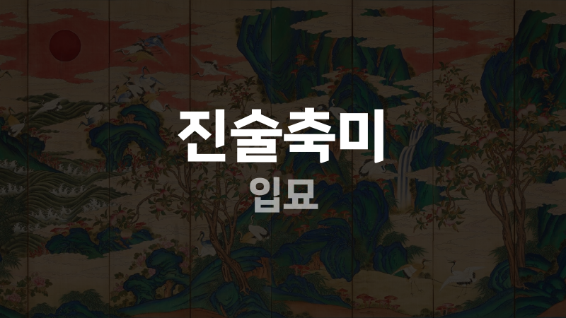 진술축미 입묘