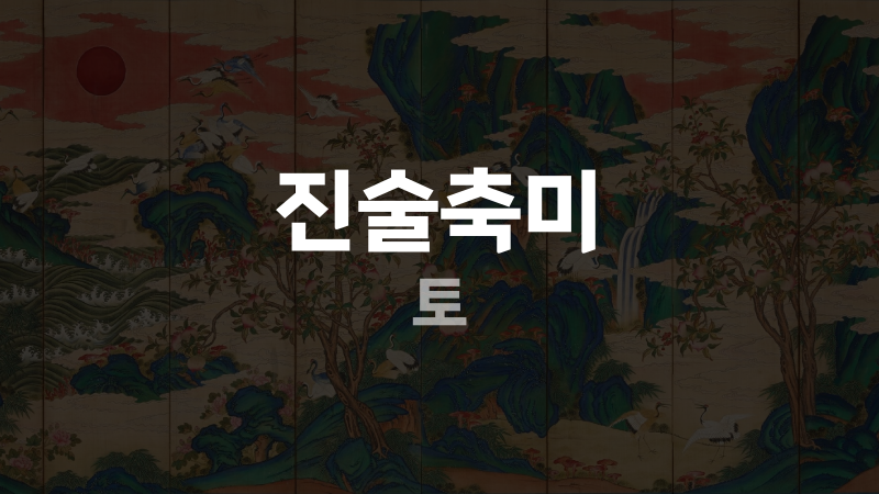 진술축미 토