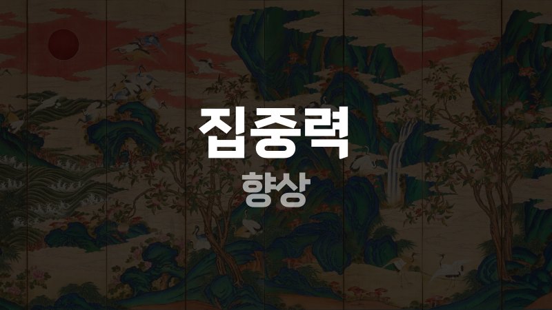 집중력 향상