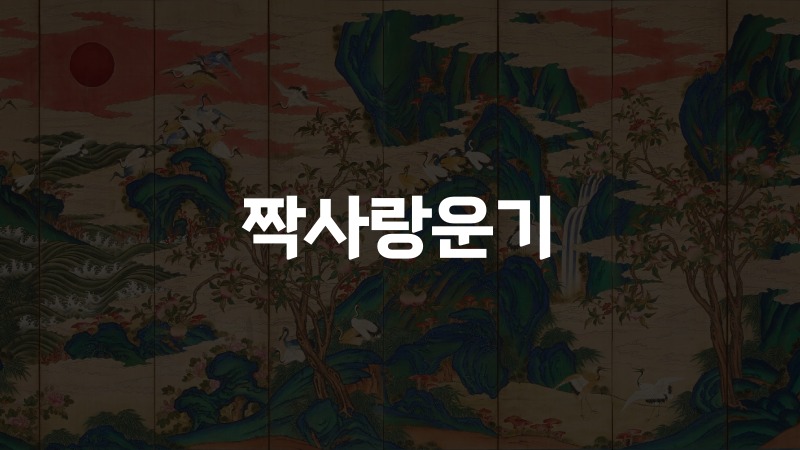짝사랑운기