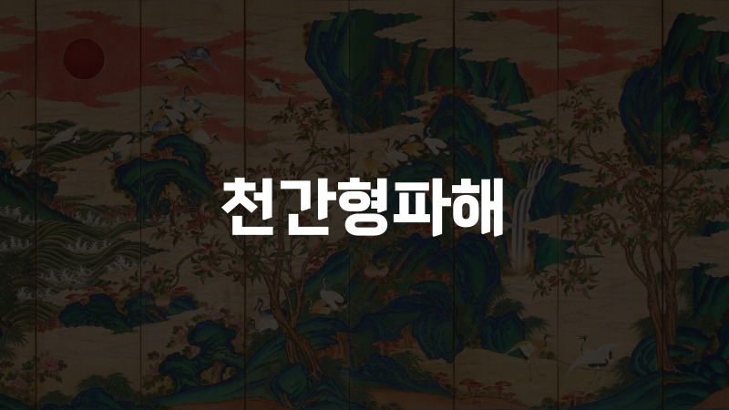 천간형파해