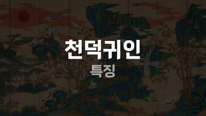 천덕귀인 특징