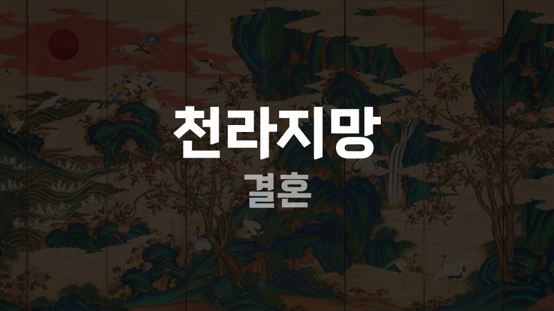 천라지망 결혼