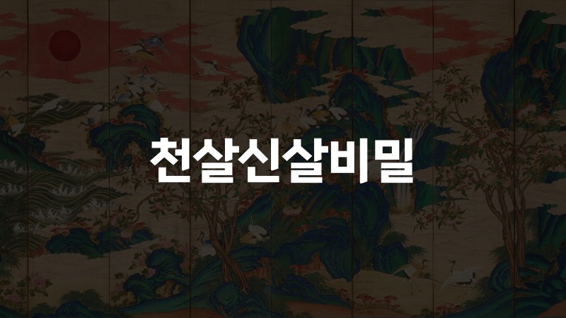 천살신살비밀