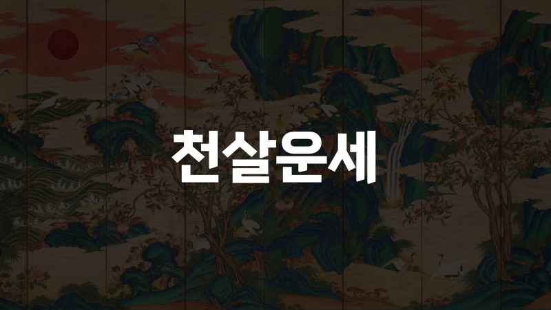 천살운세