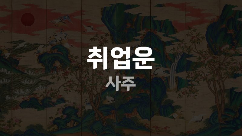 취업운 사주