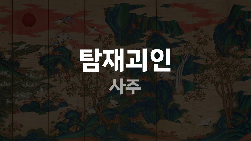탐재괴인 사주