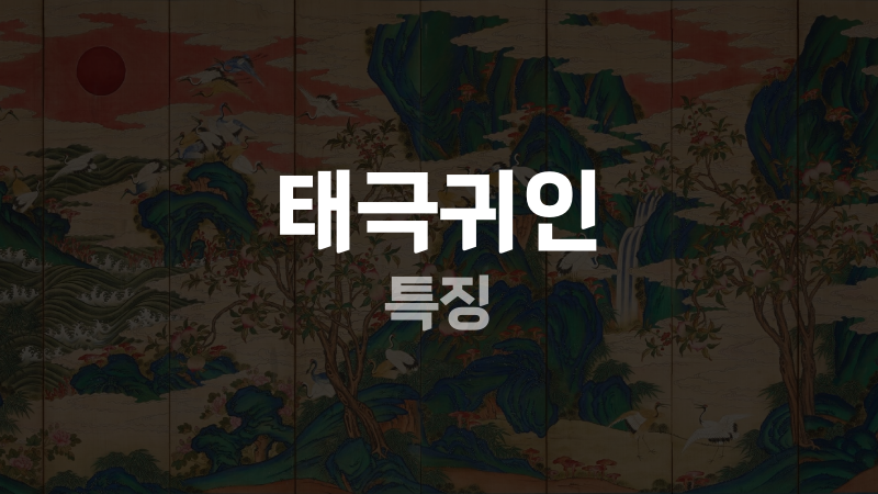 태극귀인 특징
