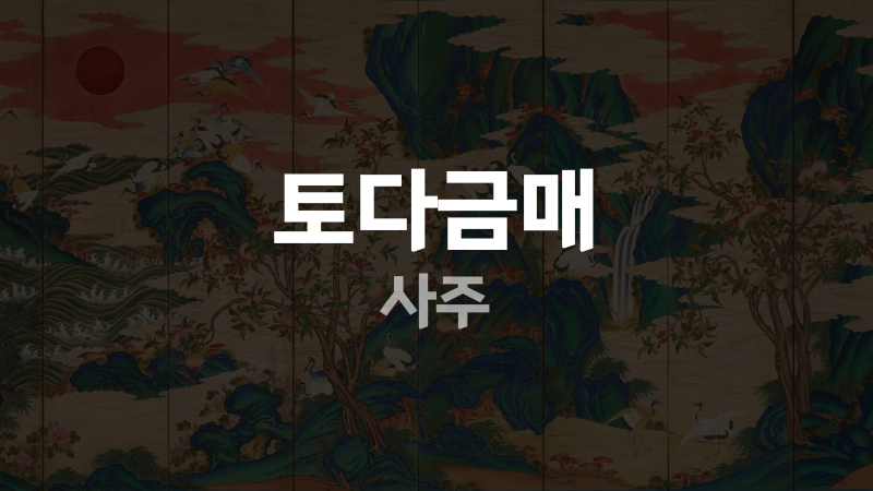 토다금매 사주