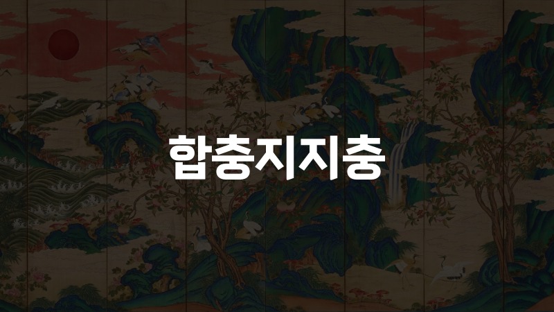 합충지지충