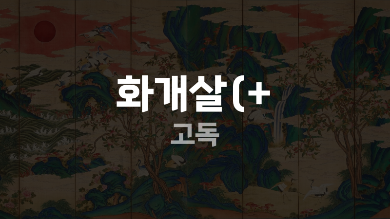 화개살(+ 고독
