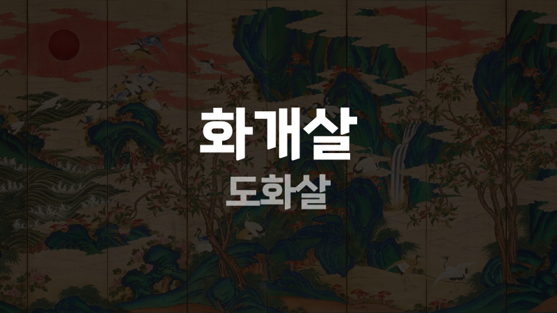 화개살 도화살