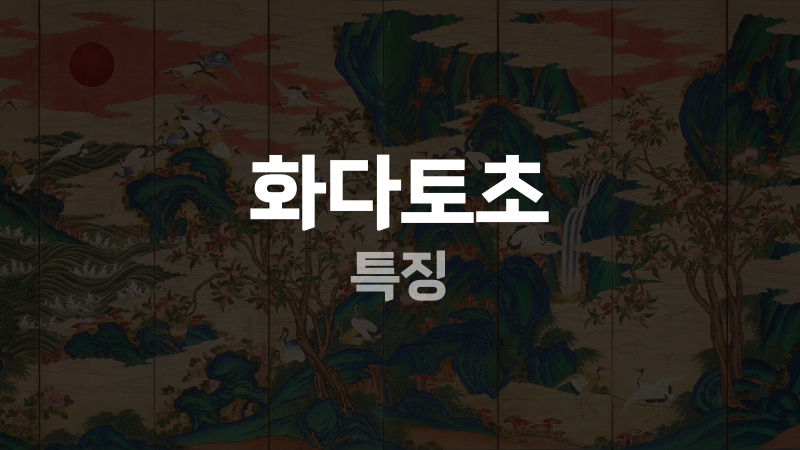 화다토초 특징
