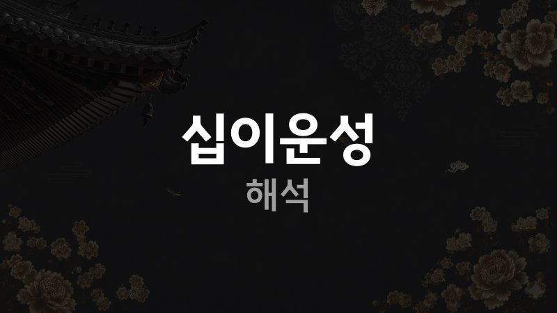 십이 운성 해석