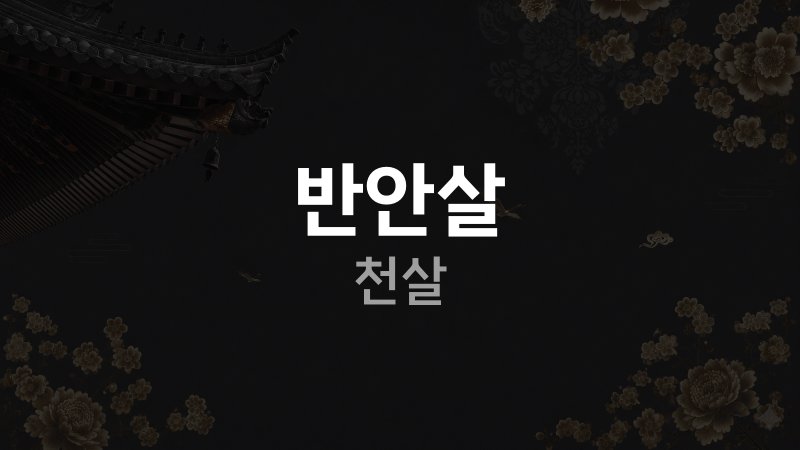 반안살 천살