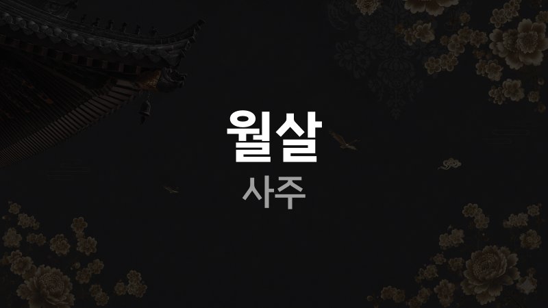 월살 사주
